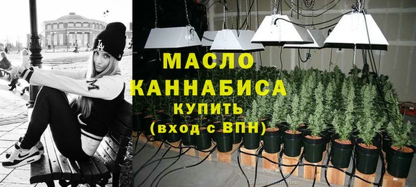метадон Алексин