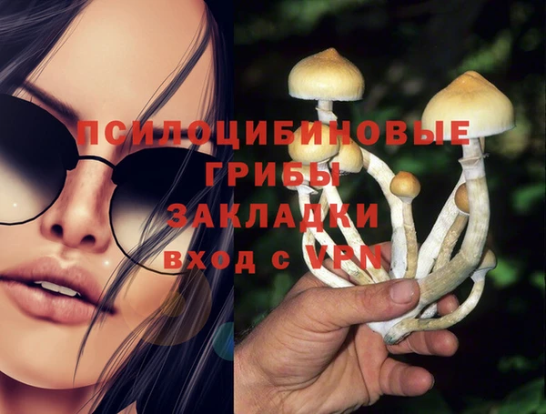 соль ск Алзамай