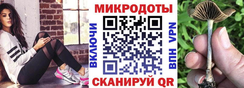 кракен сайт  Ивангород  Псилоцибиновые грибы Psilocybe  цены  