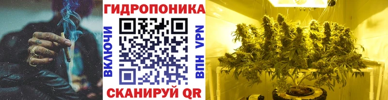 где продают Ивангород Марихуана ГИДРОПОН